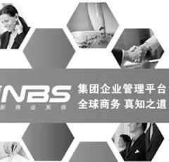 集(ji)團企業管理(li)-NBS
